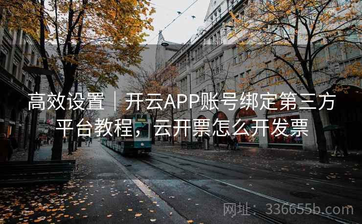 高效设置｜开云APP账号绑定第三方平台教程，云开票怎么开发票