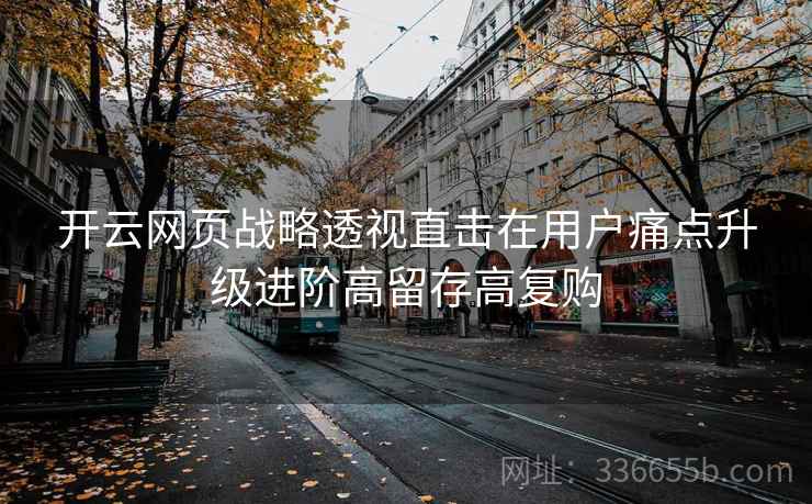 开云网页战略透视直击在用户痛点升级进阶高留存高复购